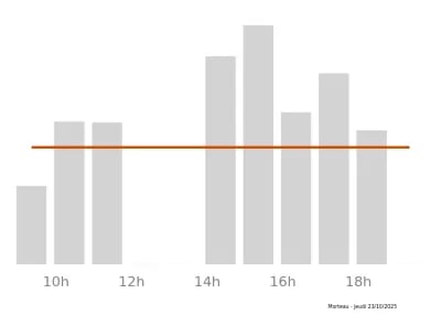 Voir le trafic sur Google maps https://maps.google.com/maps?cid=14228746988357707123