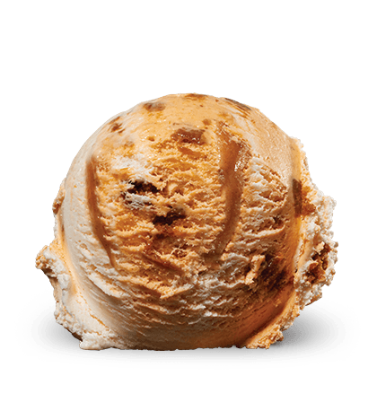Pumpkin Cheesecake
