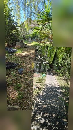 Entretien jardin/débarras