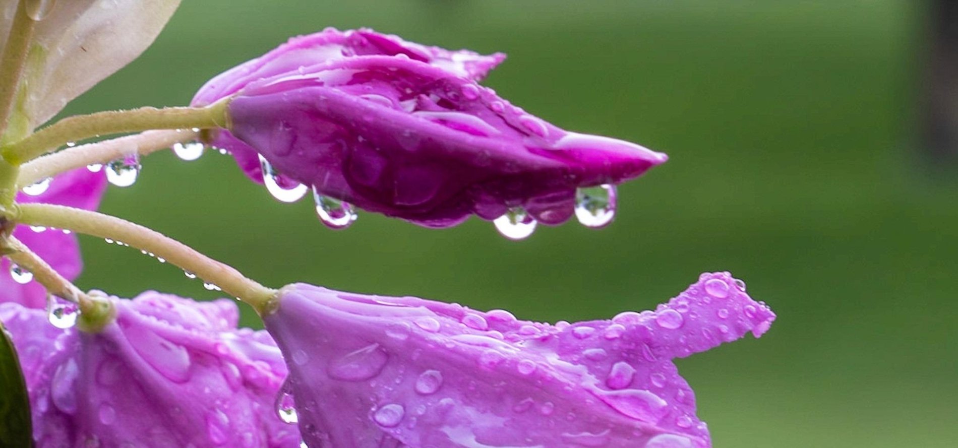 Hero Background Image