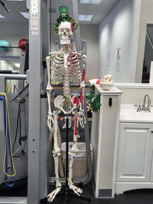 MVPT Manlius
240 West Seneca Street
Suite 12
Manlius, NY 13104
United States