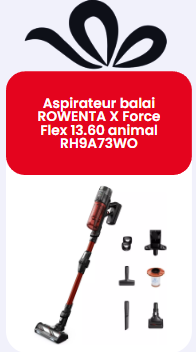 Aspirateur balai ROWENTA X Force Flex 13.60 animal RH9A73WO