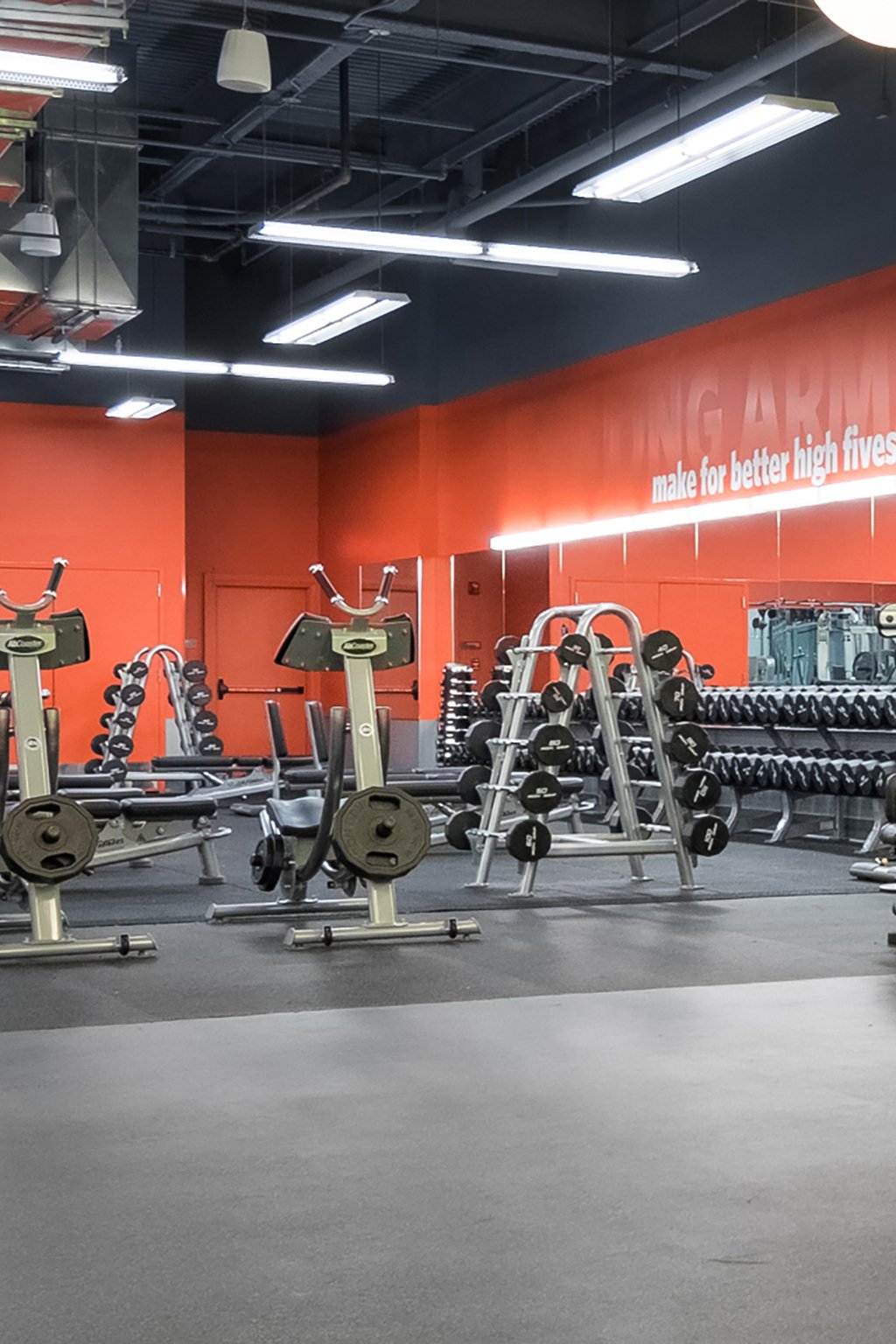 All Blink Fitness Gyms in NY cardio equipment, strength equipment
