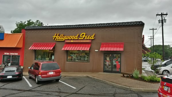 is cabbage bad for dogs