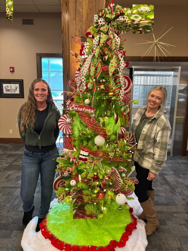 Sponsoring YWCA Festival of Trees.