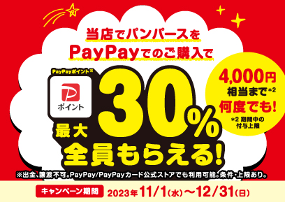 【11/1-12/31】新製品発売！今だけおトクに　パンパースの購入でPayPayポイントが最大30%もらえる！キャンペーン