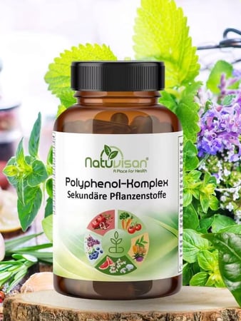 Polyphenol Komplex NRF2 Faktor Aktiv