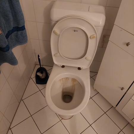 Détartrage de WC et canalisation
