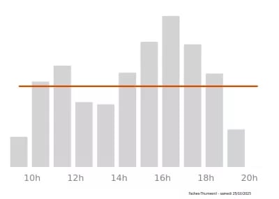 Voir le trafic sur Google maps https://maps.google.com/maps?cid=10975426927834816967