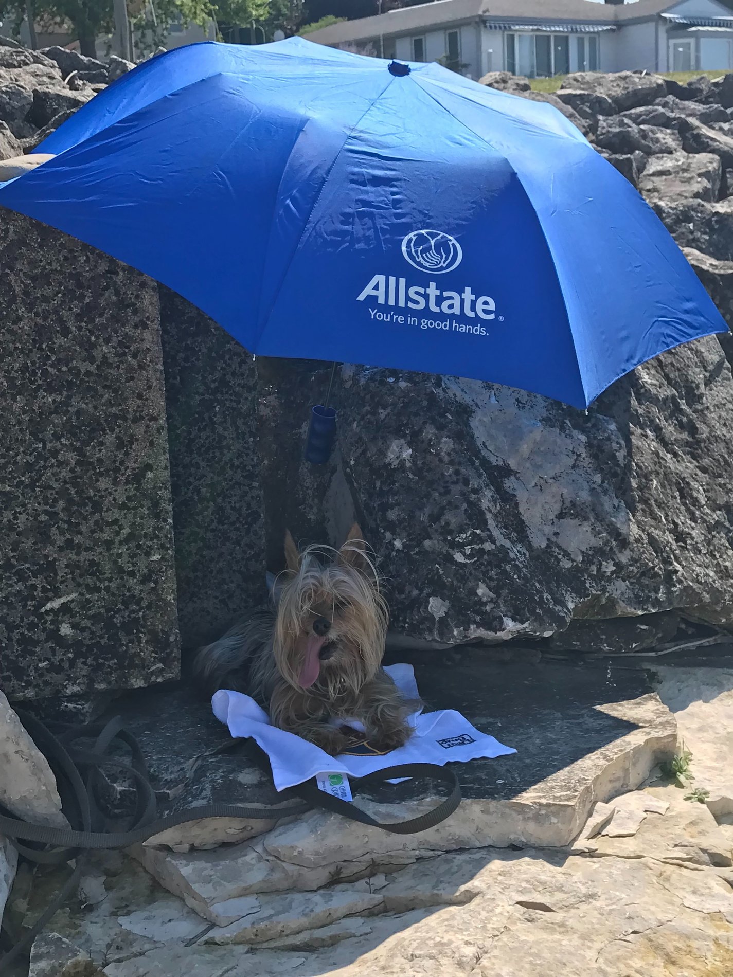 Allstate Car Insurance in Fremont, OH The Botson