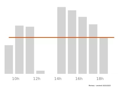 Voir le trafic sur Google maps https://maps.google.com/maps?cid=14228746988357707123