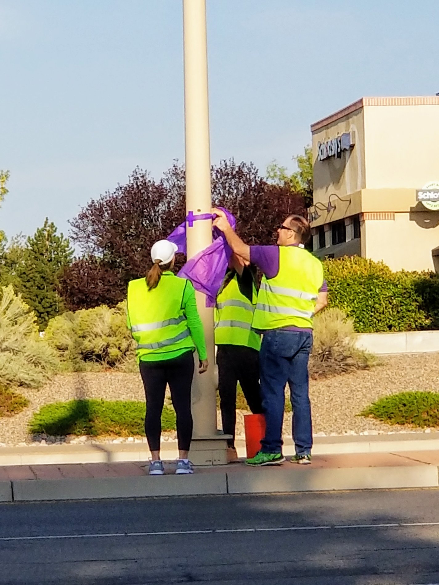 Purpling on the Poles for National Domestic Violence Month - hanging the poles