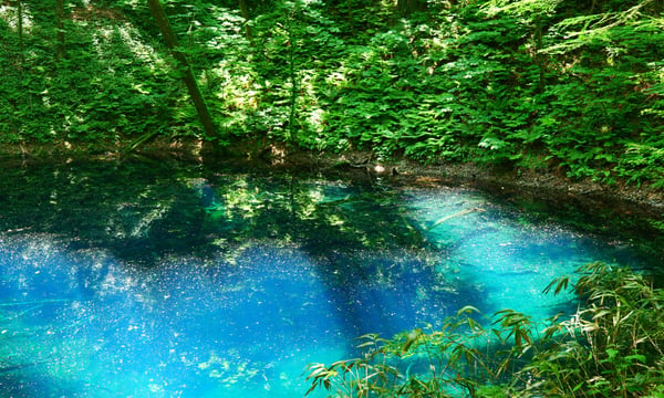 【白神山地】十二湖の青池