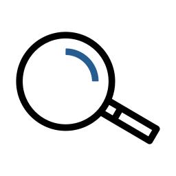 Icon Image