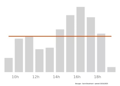 Voir le trafic sur Google maps https://maps.google.com/maps?cid=16175729463593344649