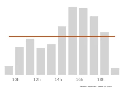 Voir le trafic sur Google maps https://maps.google.com/maps?cid=13437191758818288807