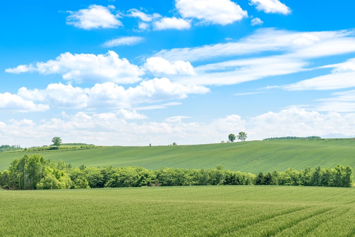 北海道の2泊3日モデルコース！車あり・なしに分けてご紹介
