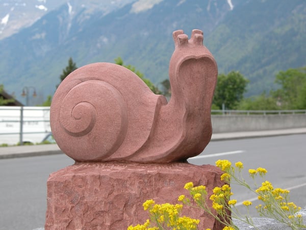 Schnecke in Sandstein, Brienz