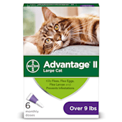 Advantage Large Cat Packaging