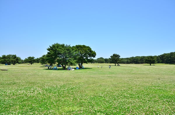 「国営ひたち海浜公園」で絶景＆レジャーを満喫！茨城の定番観光スポットを楽しもう