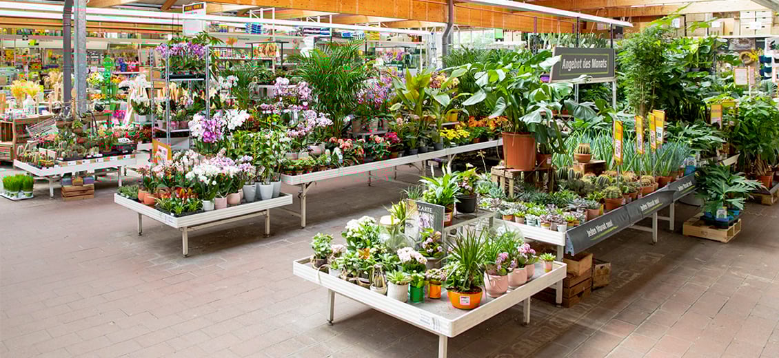34+ Obi Markt Zehdenick, Obi markt zehdenick finden sie am standort