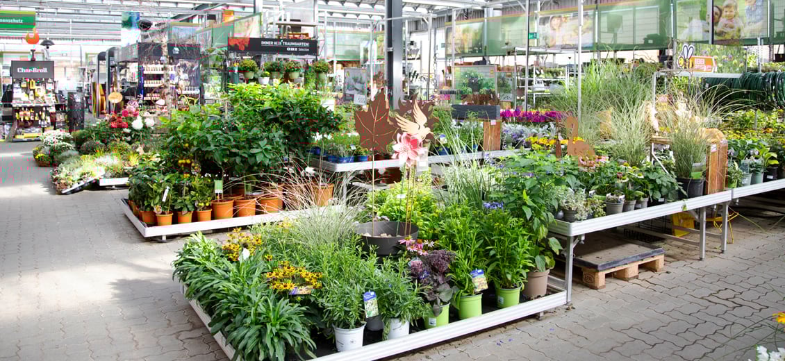 Dein OBI Markt Neubrandenburg Süd, Mirabellenstr. 2