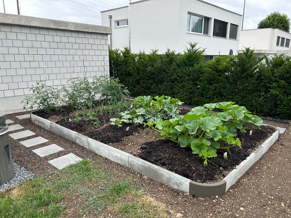 Potager classique