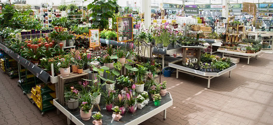 Dein OBI Markt Schwedt, Dammweg 13