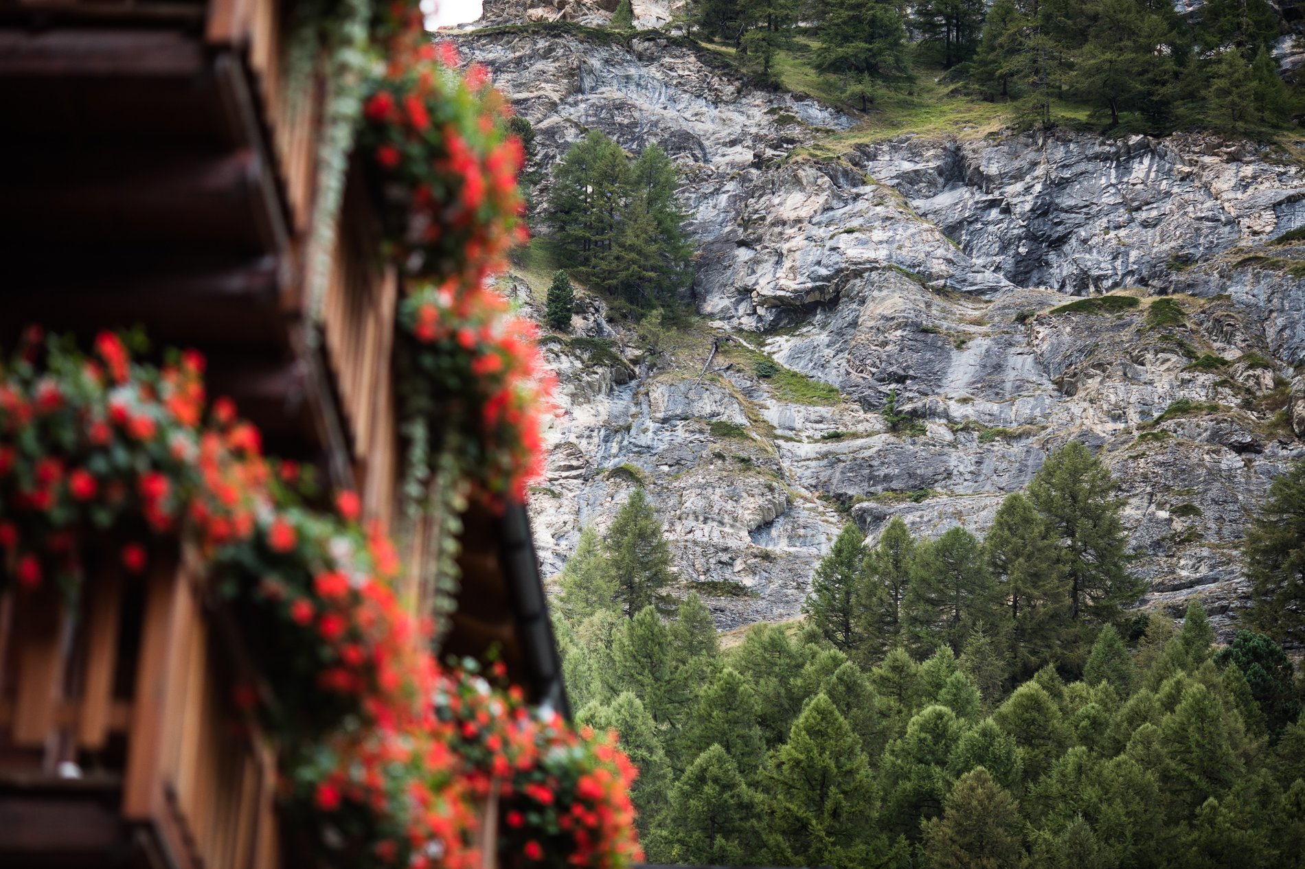 Hotel Continental Zermatt