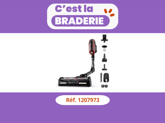 Aspirateur balai ROWENTA X-force Flex 12.60 Animal Care RH98A3WO