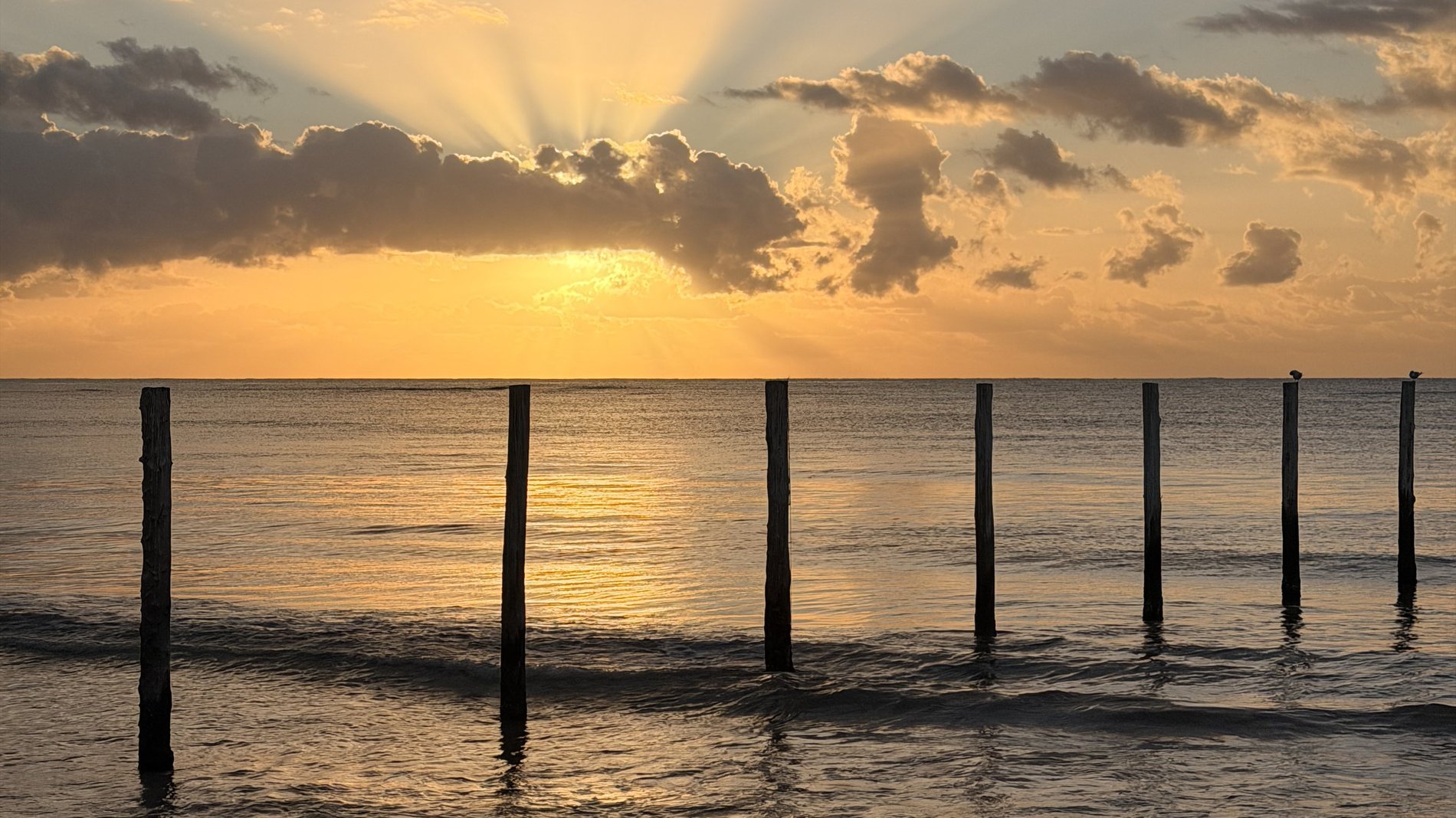 Hero Background Image