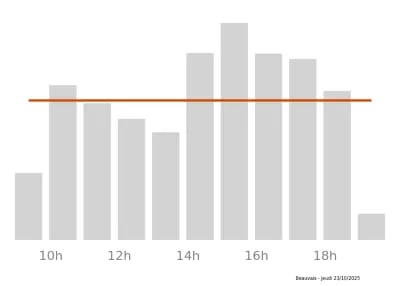 Voir le trafic sur Google maps https://maps.google.com/maps?cid=10685131113866877461