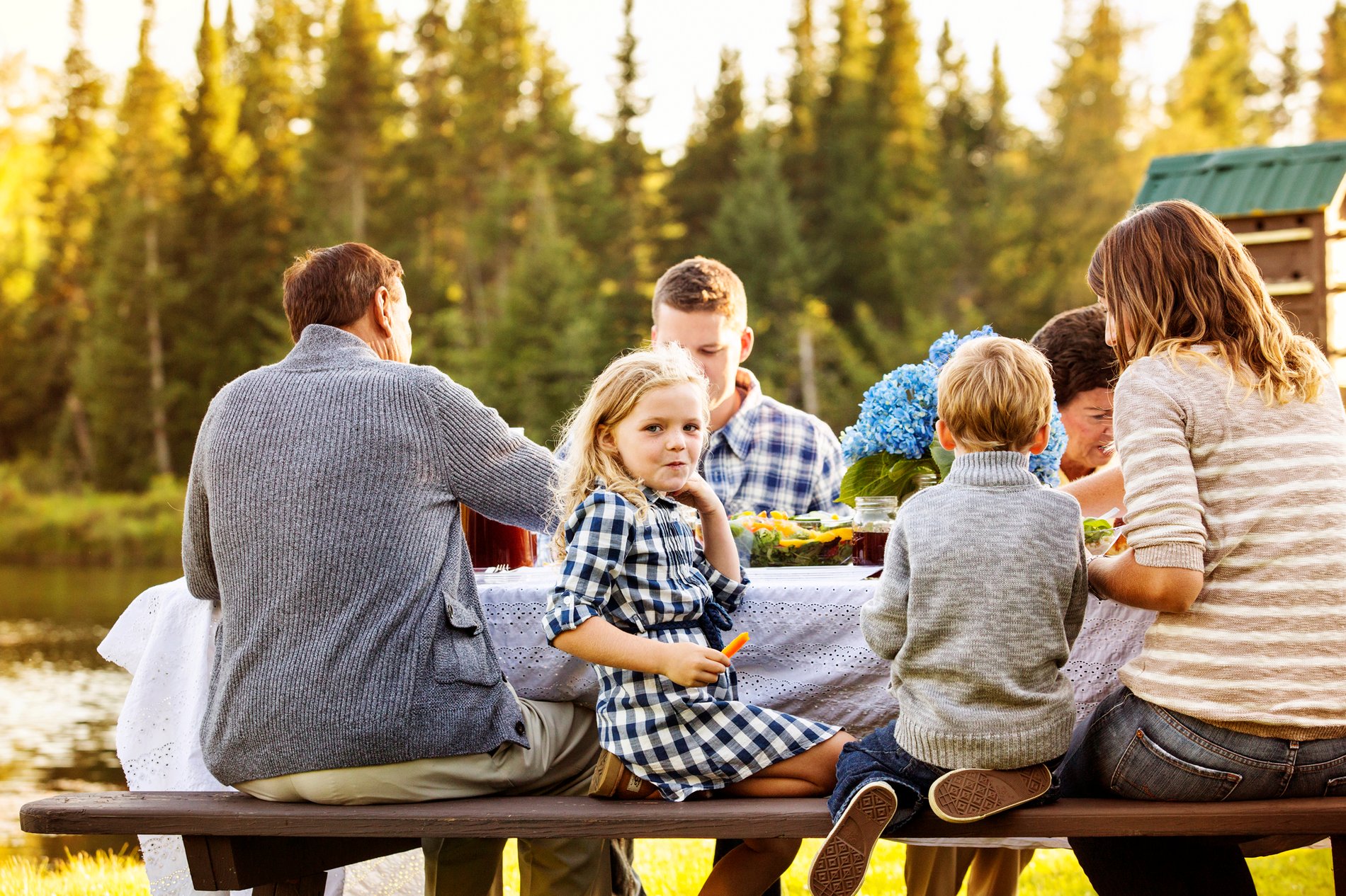 People s relatives. Visit Family. Enjoying a Family Picnic. Visit relatives. Enjoying a Family Picnic ищем картинки.