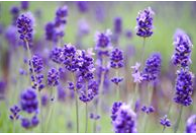 Hero Background Image