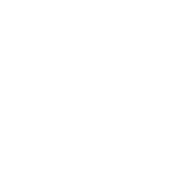 Otto Pizza Portland Maine