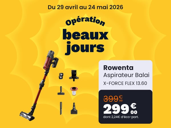 Aspirateur balai ROWENTA X Force Flex 13.60 animal RH9A73WO