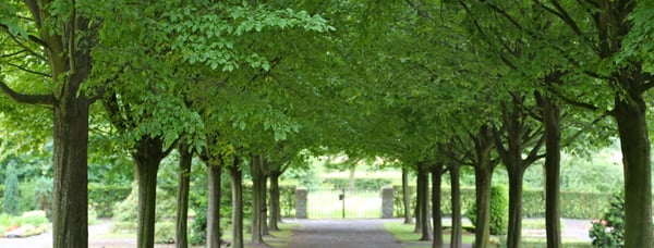Bönen-Flierch - Ev. Kirchengemeinde Bönen (Friedhof)