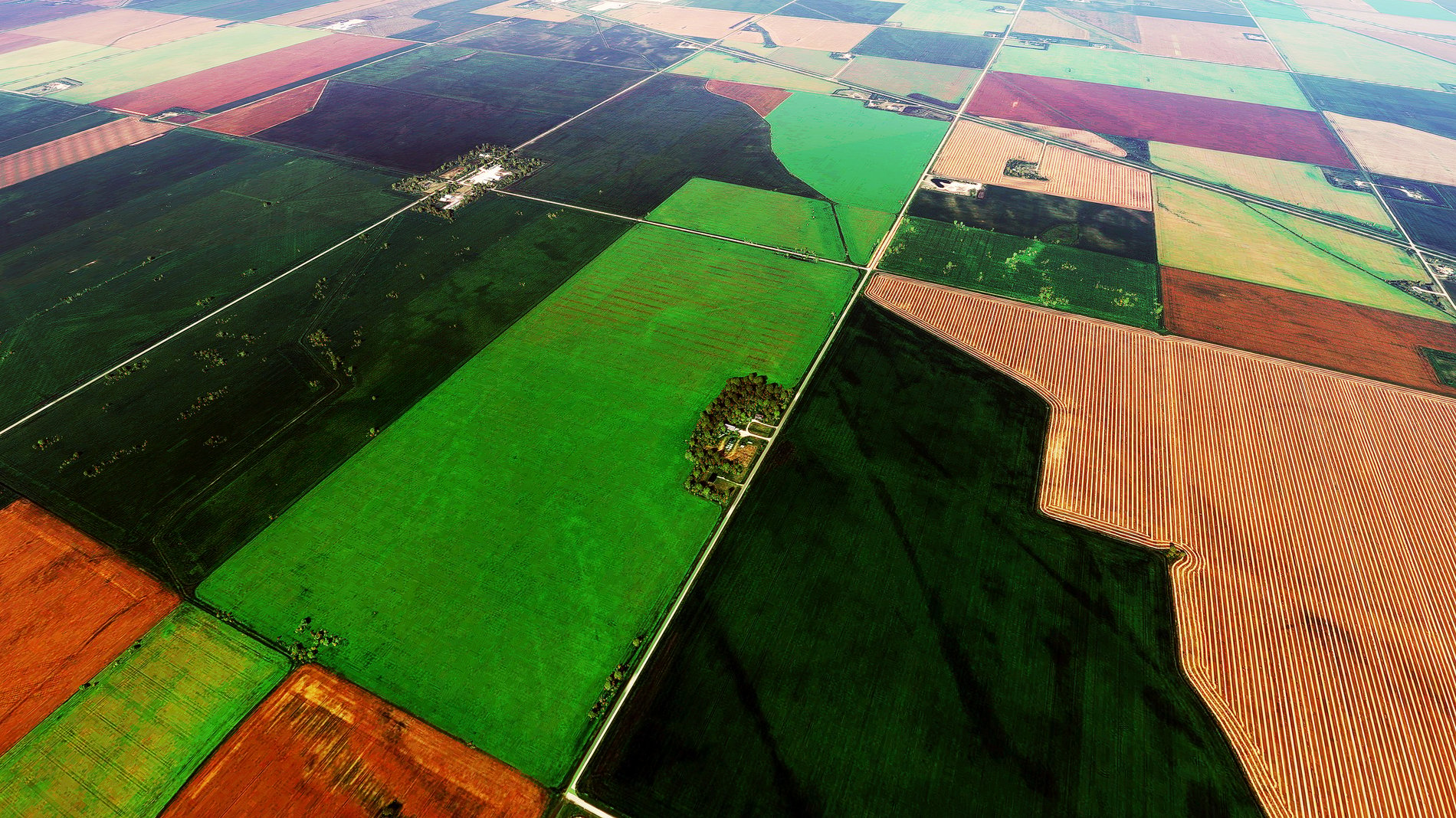 Vue aérienne de terres agricoles.