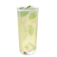 Lemon Mint Breeze®