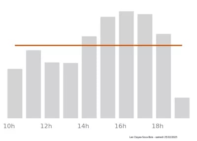 Voir le trafic sur Google maps https://maps.google.com/maps?cid=15305667369198725181