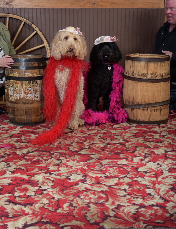 Stella &amp; Paisley, Our Directors of FUN!