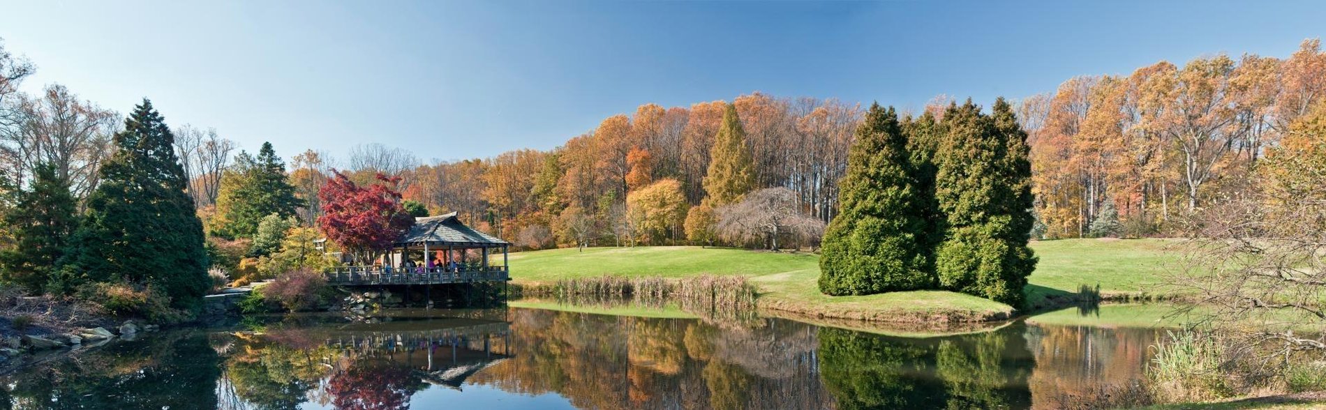 Hero Background Image