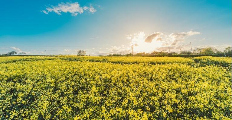 Hero Background Image