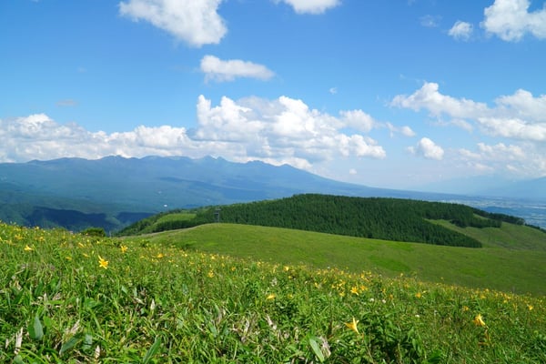 霧ヶ峰高原