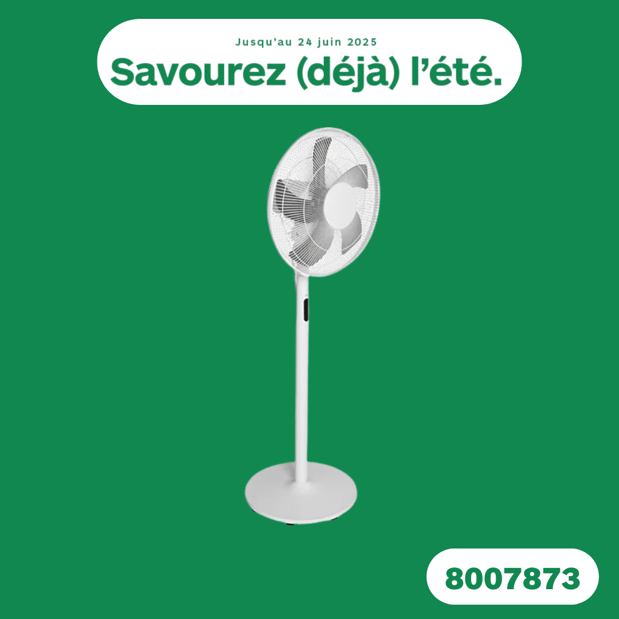 Ventilateur ESSENTIELB EVP2241b  en promotion dans vorte magasin Boulanger Lille Esquermoise