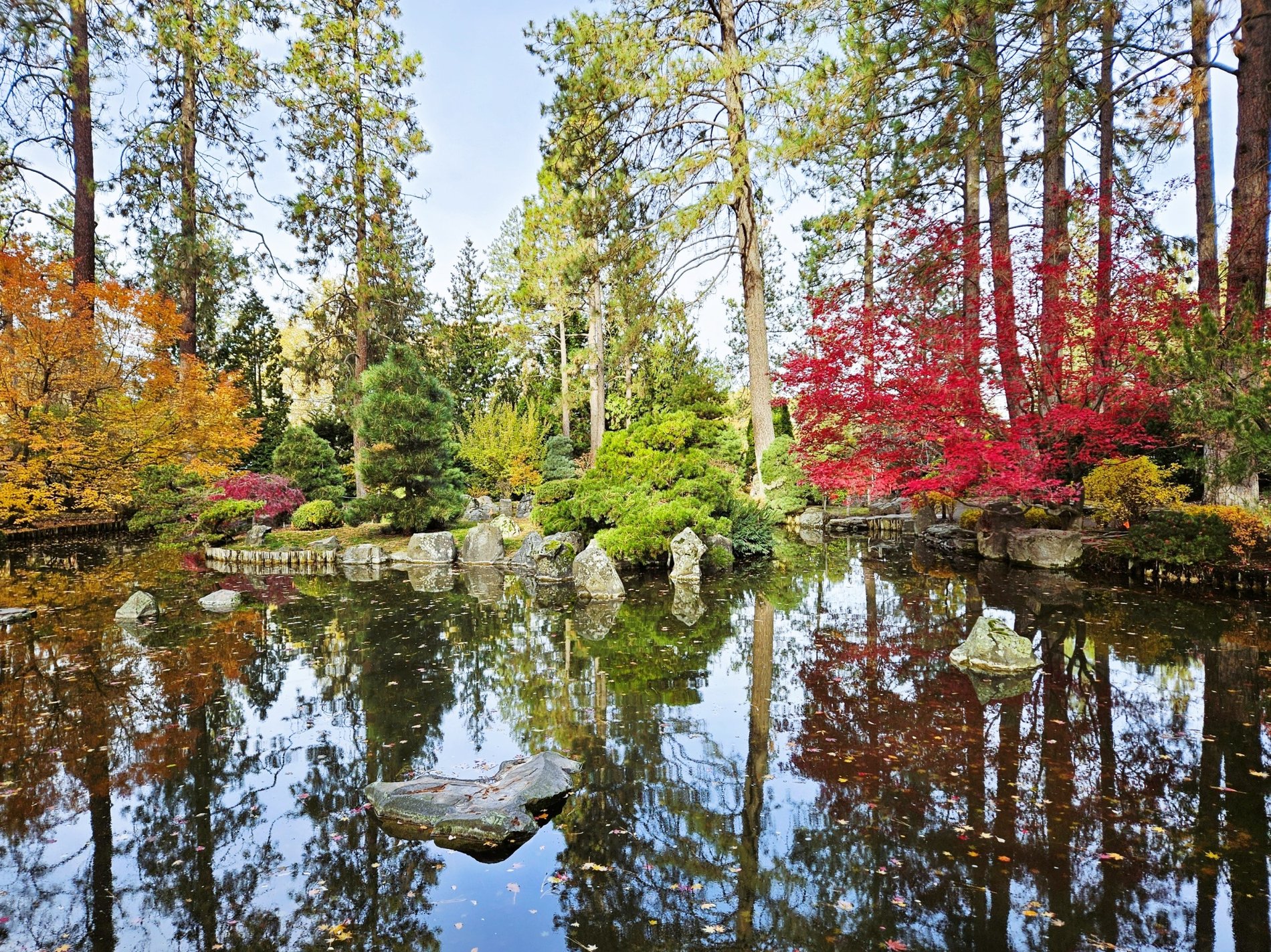 Hero Background Image