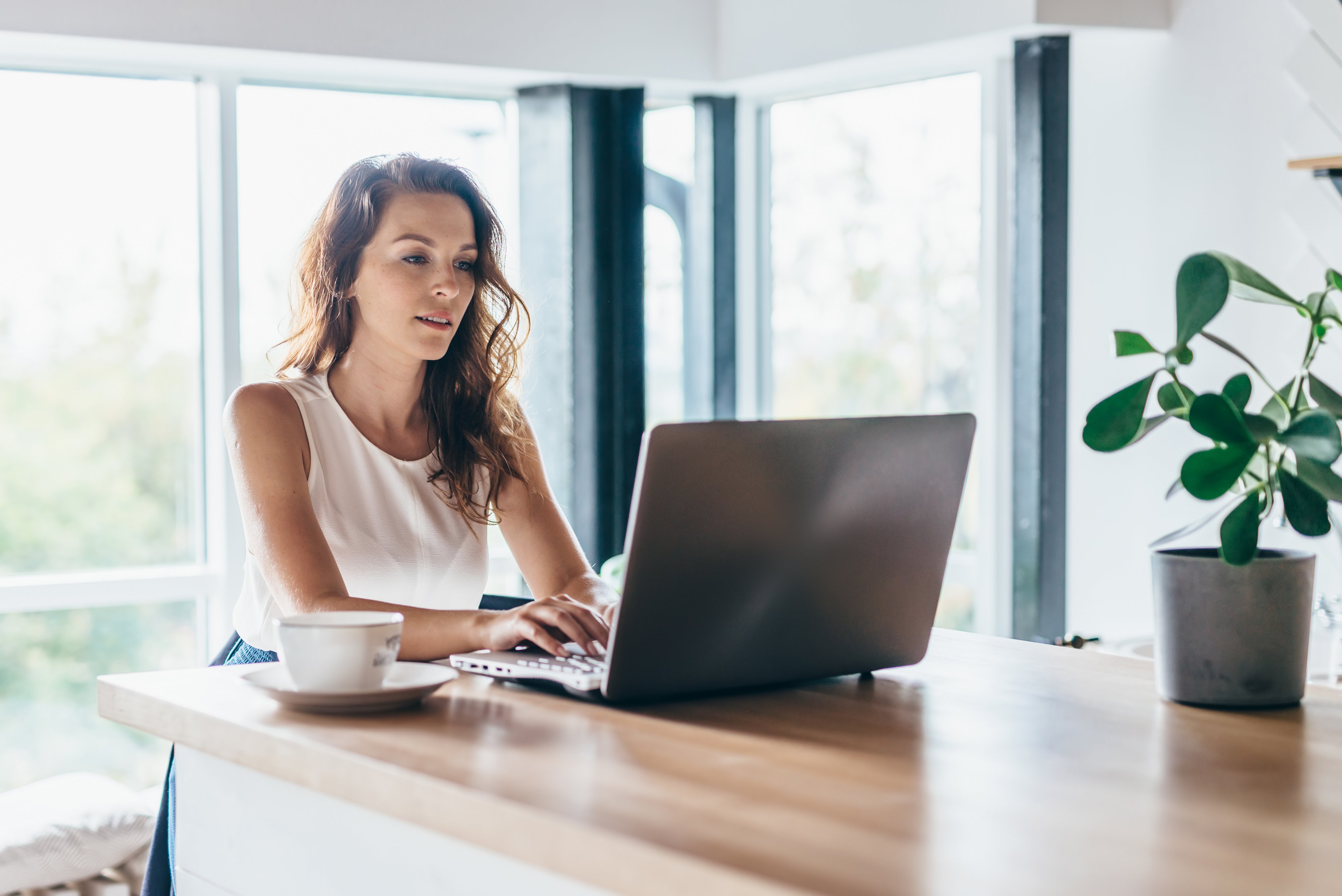 eStore® Common Application