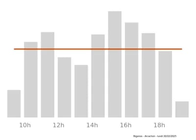 Voir le trafic sur Google maps https://maps.google.com/maps?cid=5692822803072488221