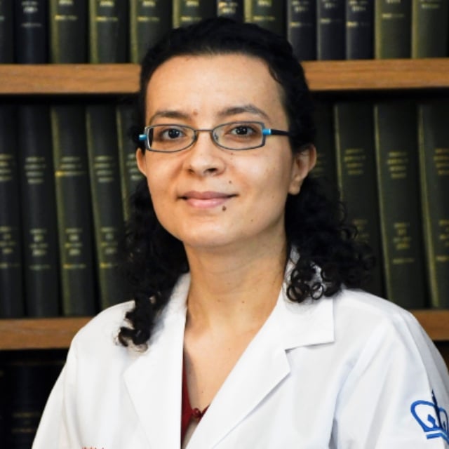 Aliaa Hamed Abdelhakim, MD, PHD