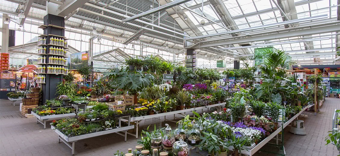 53+ Obi Gartencenter Hannover-Linden, In deinem obi baumarkt wirst du